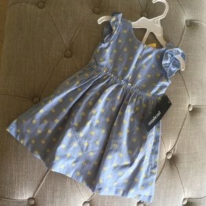 NWT Picapino Baby Girl dress and bloomers set